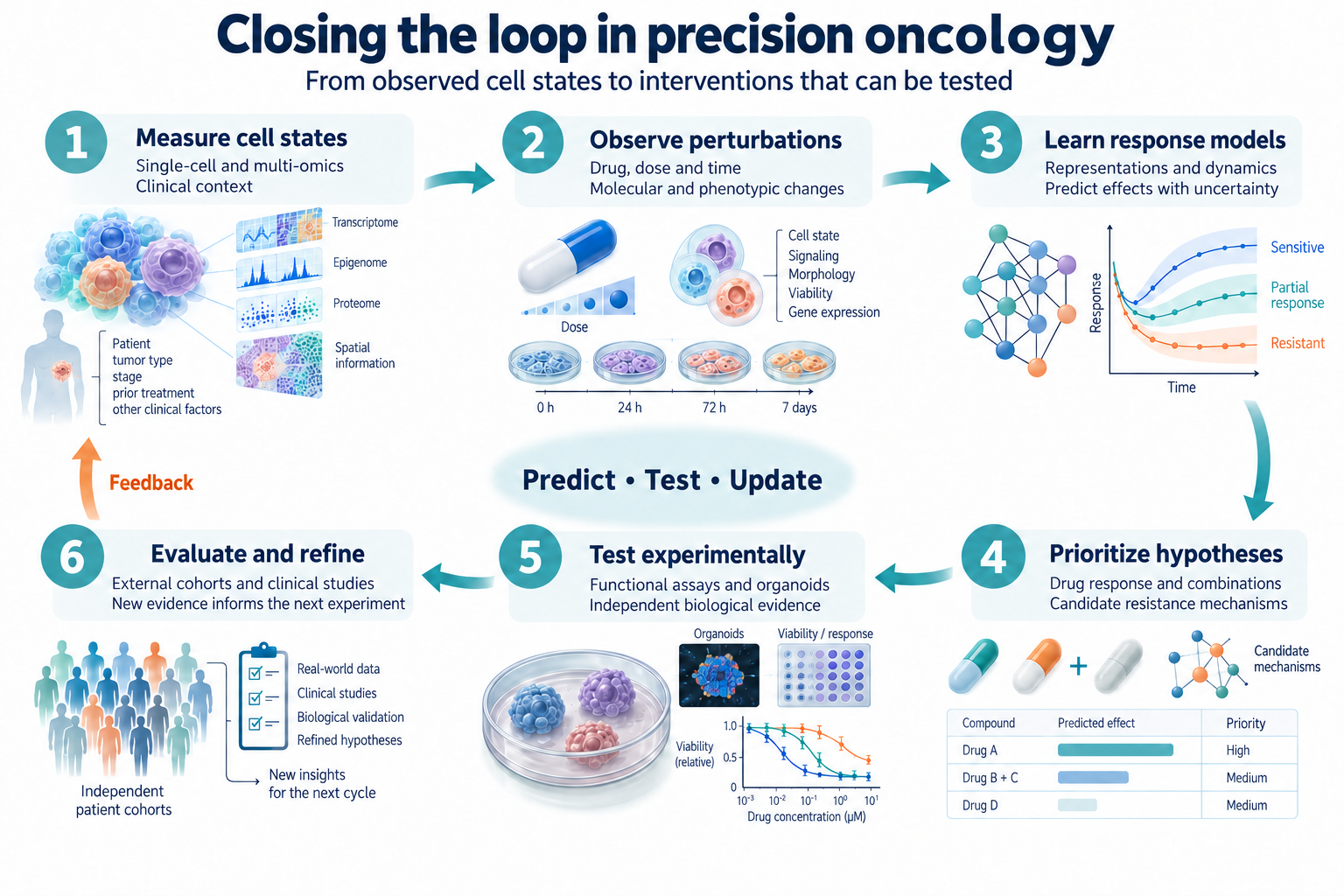 Six stages in a research cycle: measure cell states, observe perturbations, learn response models, prioritize hypotheses, test experimentally, and evaluate and refine.